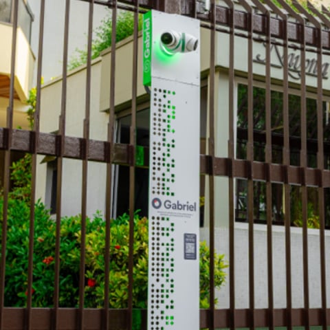 camaleao-max-parede-res