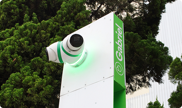 foto-totem-camaleao-gabriel